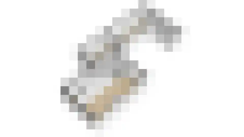 Van der Heijdenlaan 101 Zeist thumbnail 33