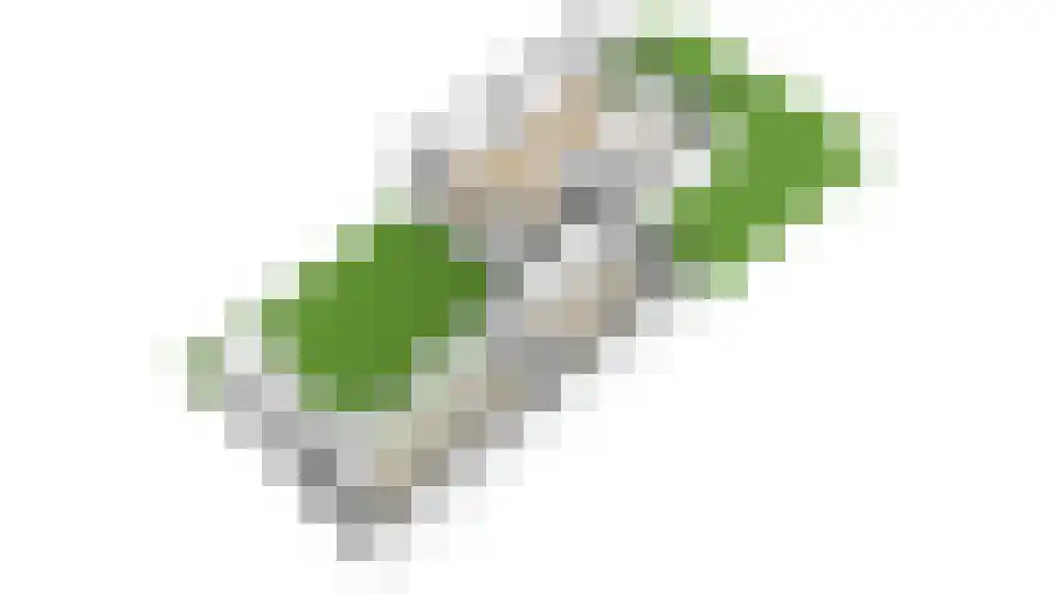 Van der Heijdenlaan 101 Zeist thumbnail 53