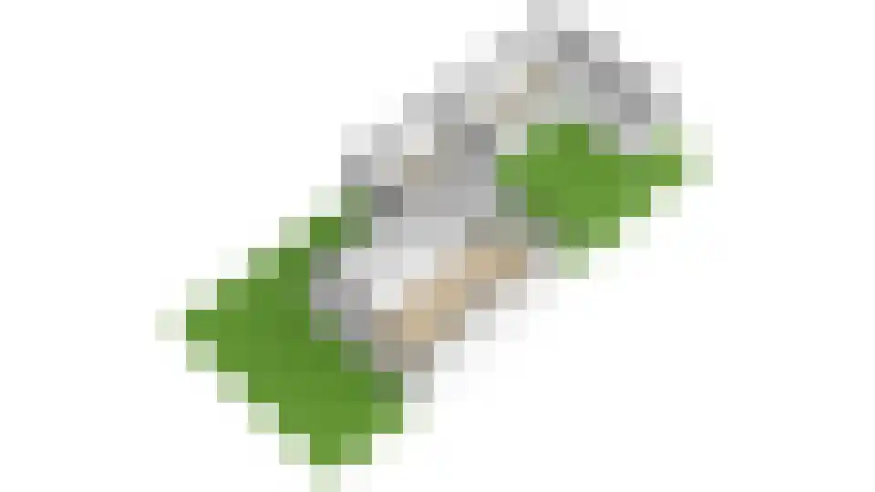 Van der Heijdenlaan 101 Zeist thumbnail 54