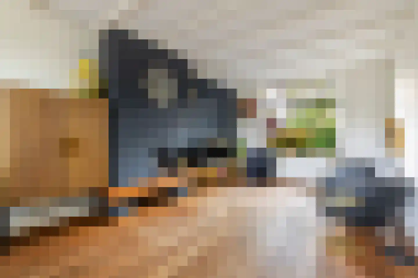 Van der Heijdenlaan 101 Zeist thumbnail 6