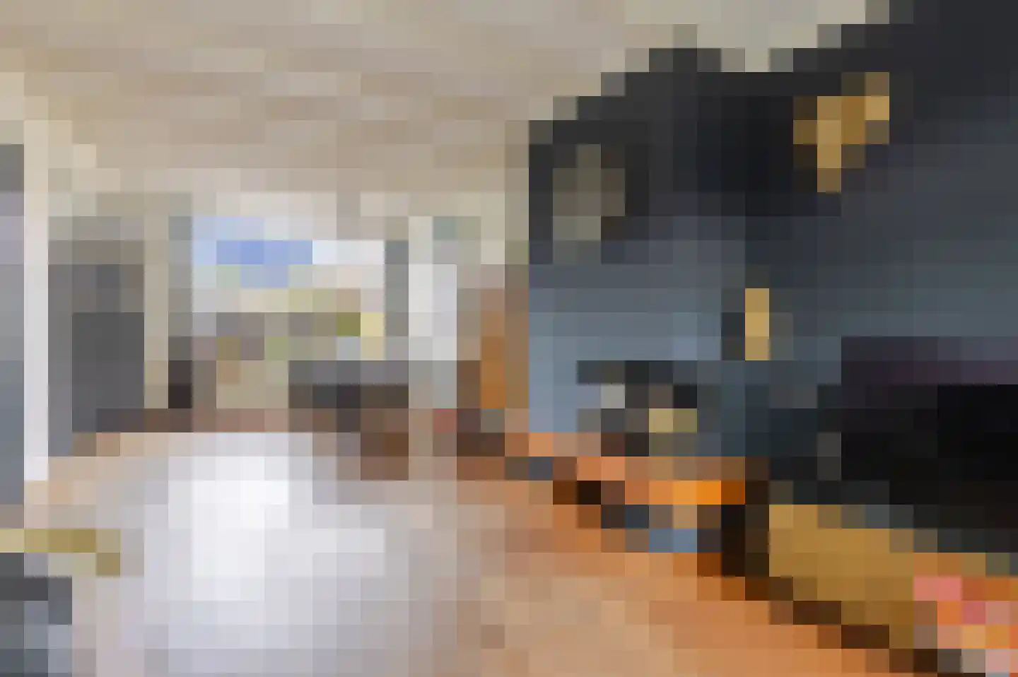 Van der Heijdenlaan 101 Zeist thumbnail 7