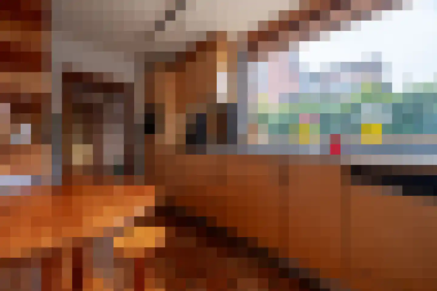 Van der Heijdenlaan 43 Zeist thumbnail 11