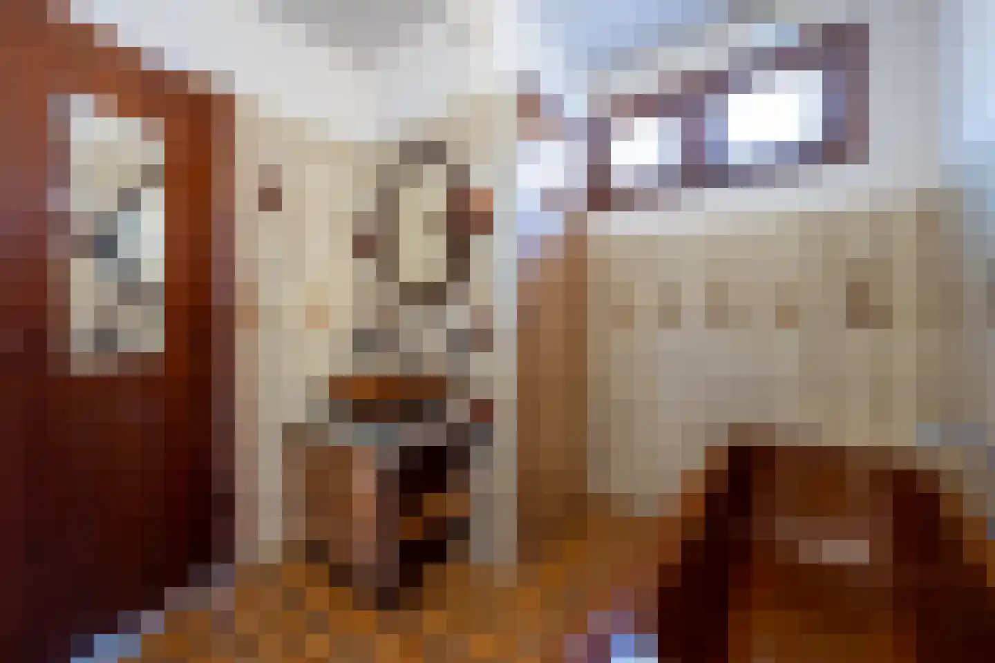 Van der Heijdenlaan 43 Zeist thumbnail 14