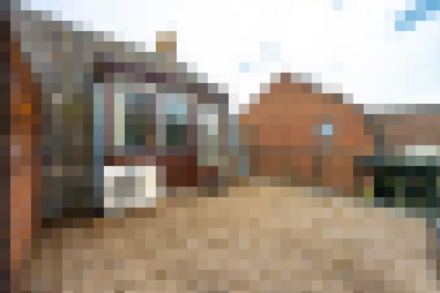 Van der Heijdenlaan 43 Zeist thumbnail 20