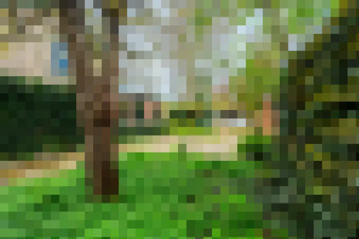 Van der Heijdenlaan 43 Zeist thumbnail 33