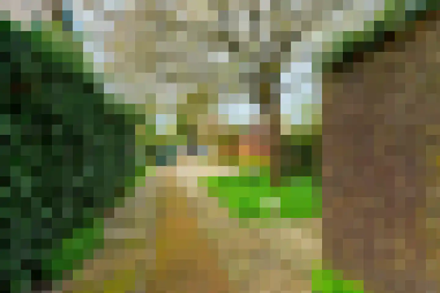 Van der Heijdenlaan 43 Zeist thumbnail 34