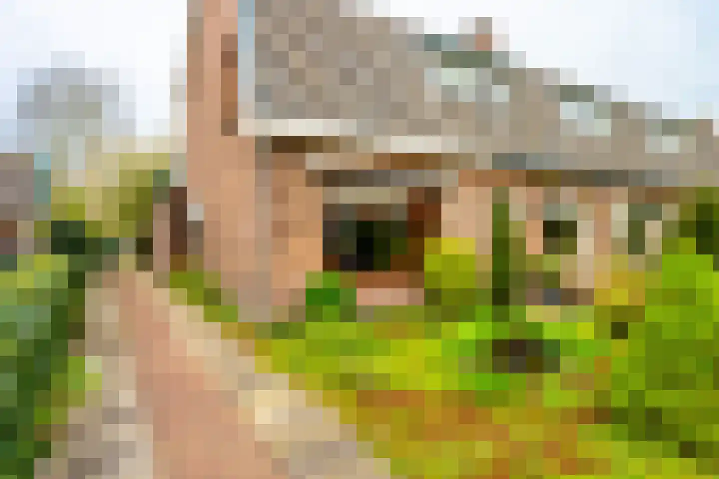 Van der Heijdenlaan 43 Zeist thumbnail 38