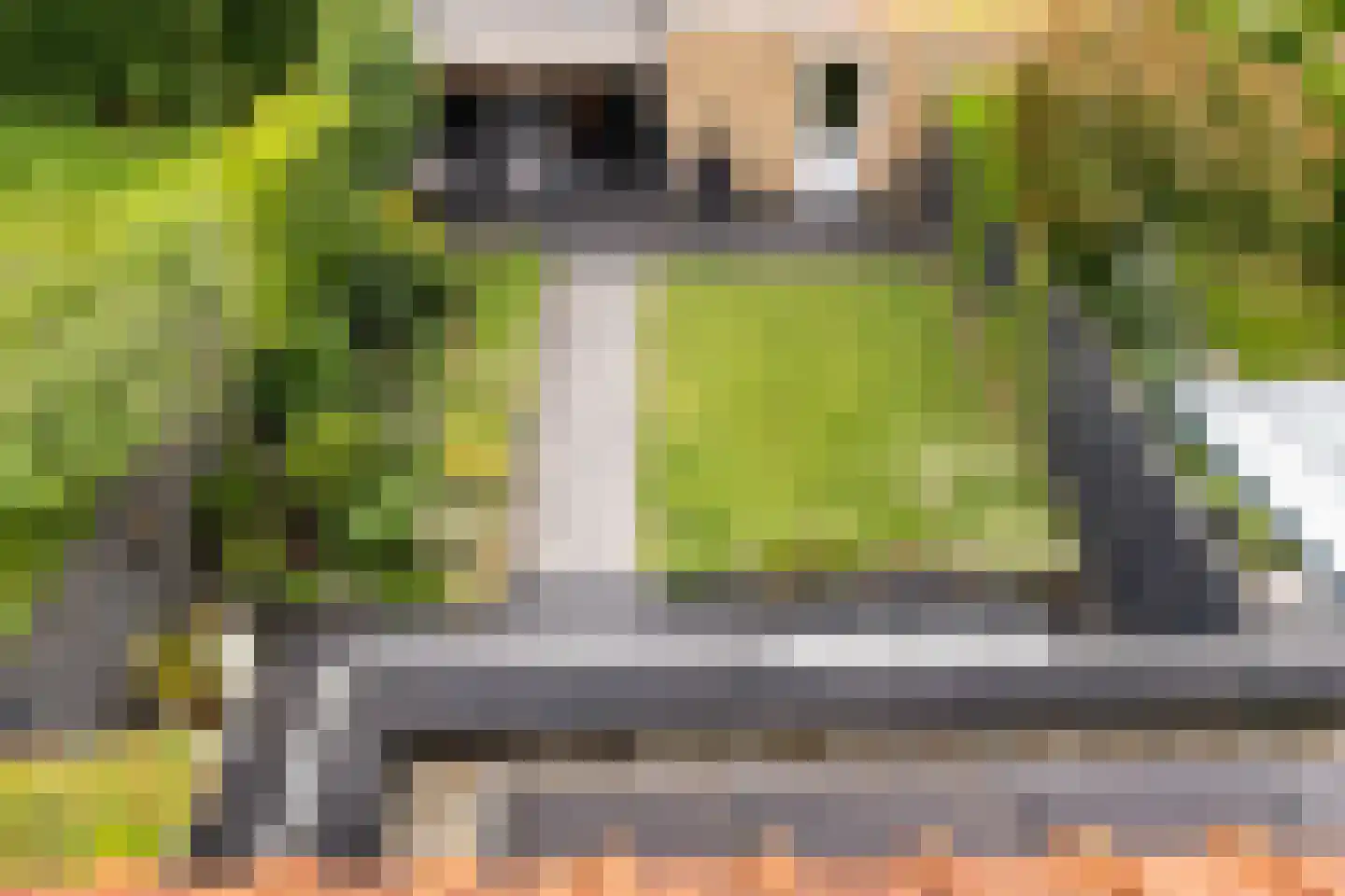 Van der Heijdenlaan 60 Zeist thumbnail 32