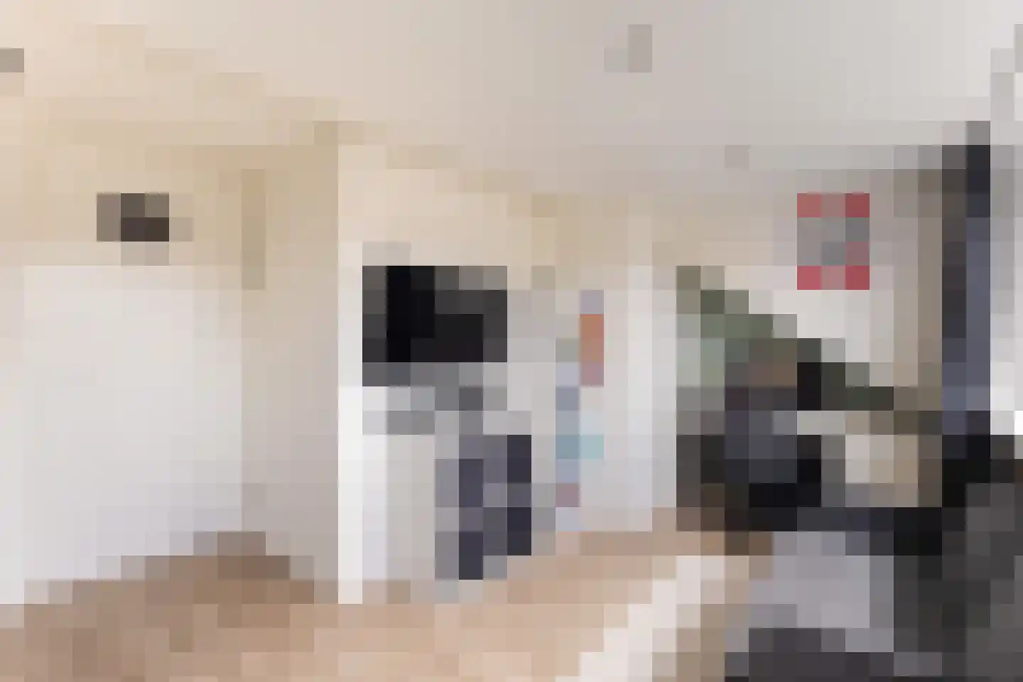 Van der Heijdenlaan 60 Zeist thumbnail 37