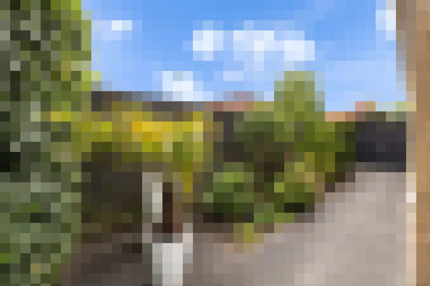 Van der Heijdenlaan 60 Zeist thumbnail 42