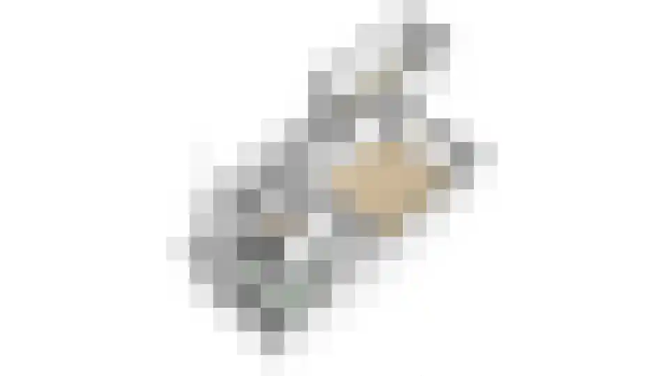 Van der Heijdenlaan 88 Zeist thumbnail 35