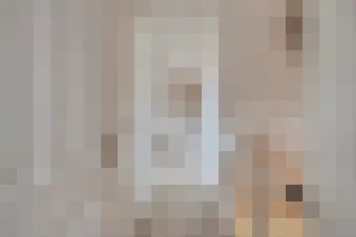 van der Heijdenstraat 17 Denekamp thumbnail 17