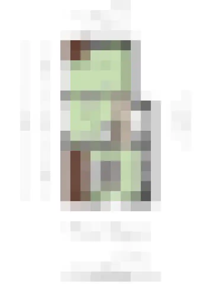 van der Heijdenstraat 17 Denekamp thumbnail 33