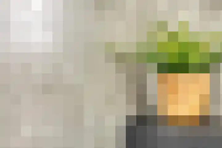 van der Heijdenstraat 17 Denekamp thumbnail 5