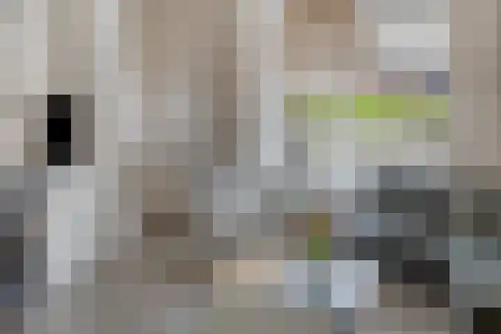van der Heijdenstraat 17 Denekamp thumbnail 8
