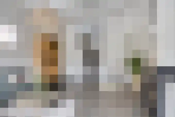 van der Heijdenstraat 17 Denekamp thumbnail 9