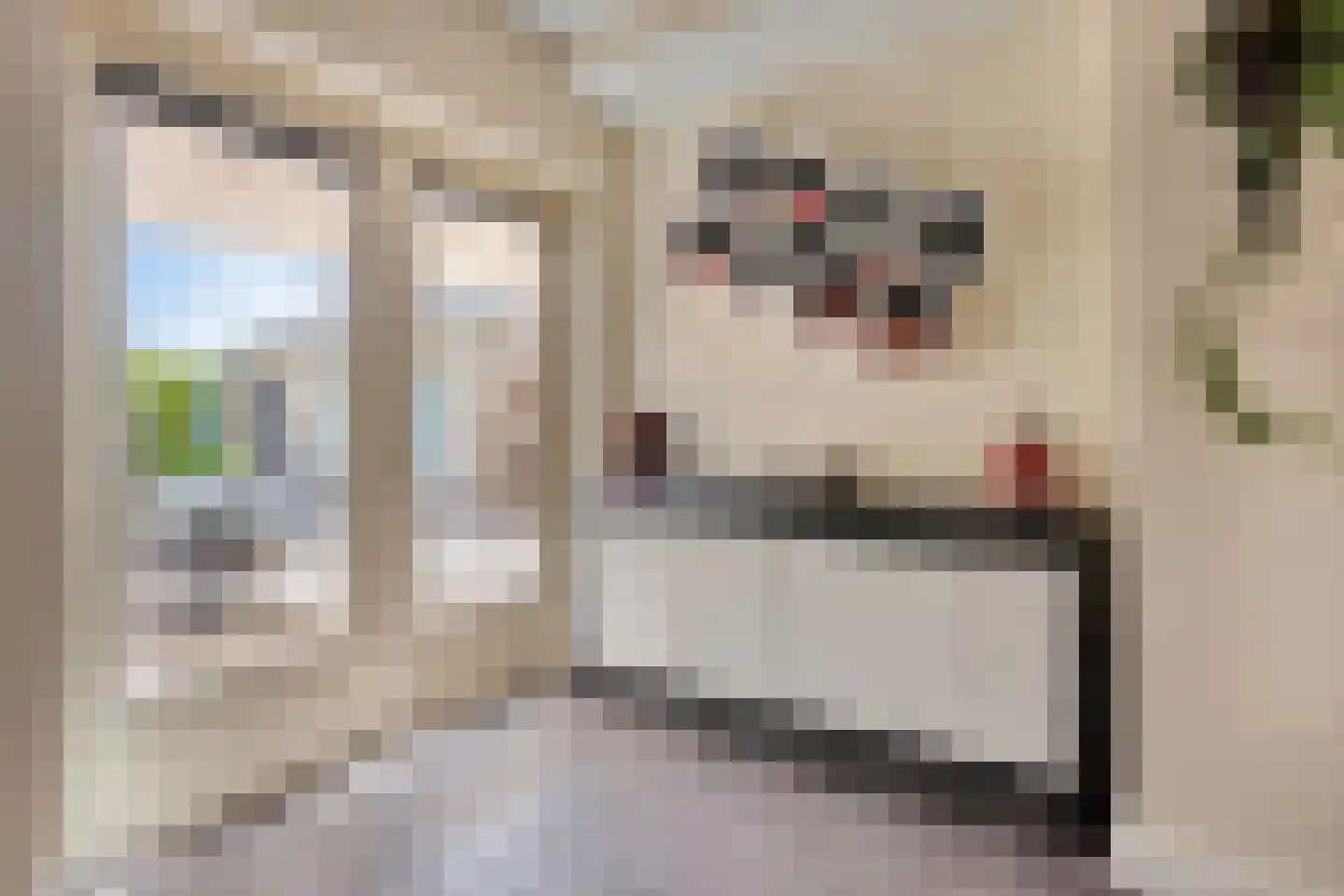 van der Heijdenstraat 20 Schaijk thumbnail 18