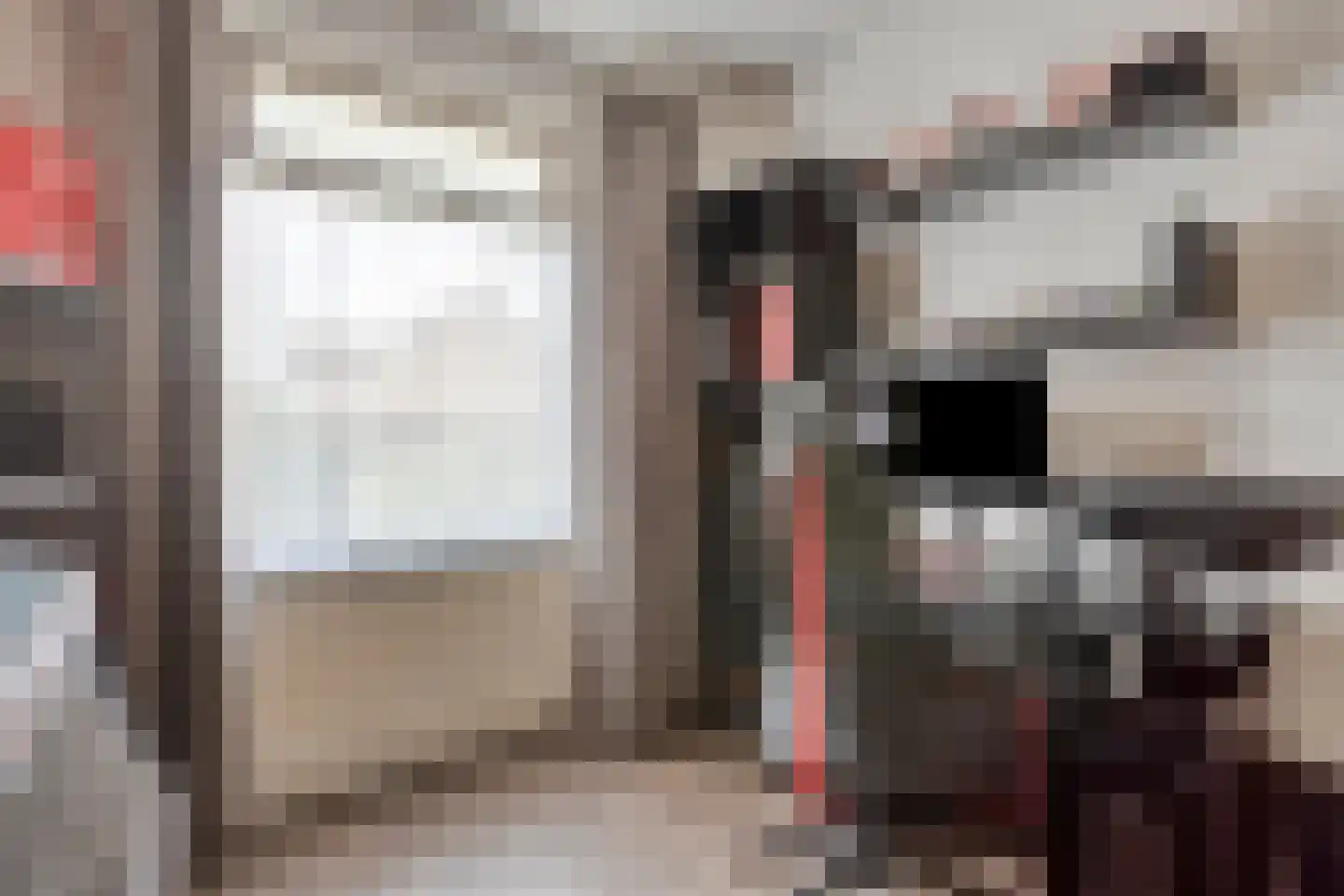 van der Heijdenstraat 20 Schaijk thumbnail 22
