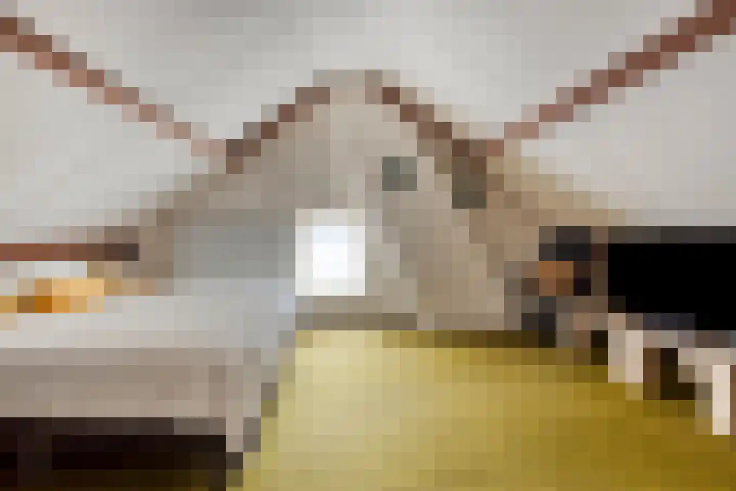 van der Heijdenstraat 20 Schaijk thumbnail 30