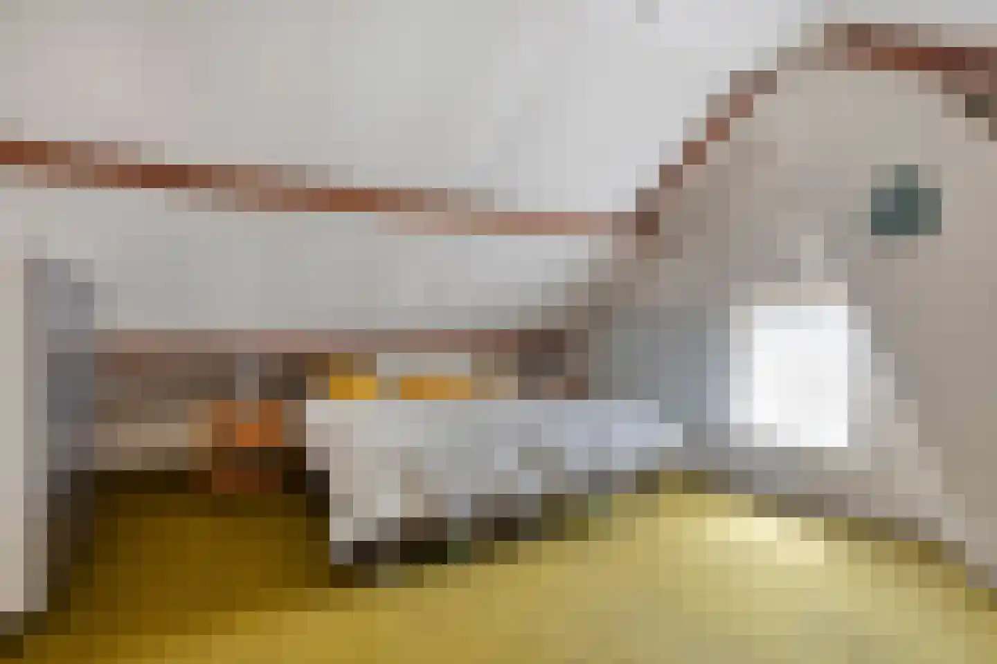 van der Heijdenstraat 20 Schaijk thumbnail 31