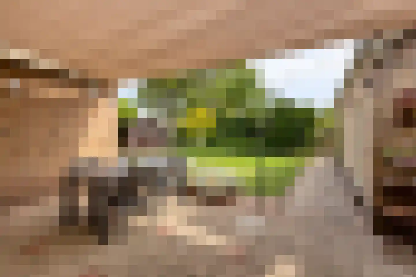 van der Heijdenstraat 20 Schaijk thumbnail 32