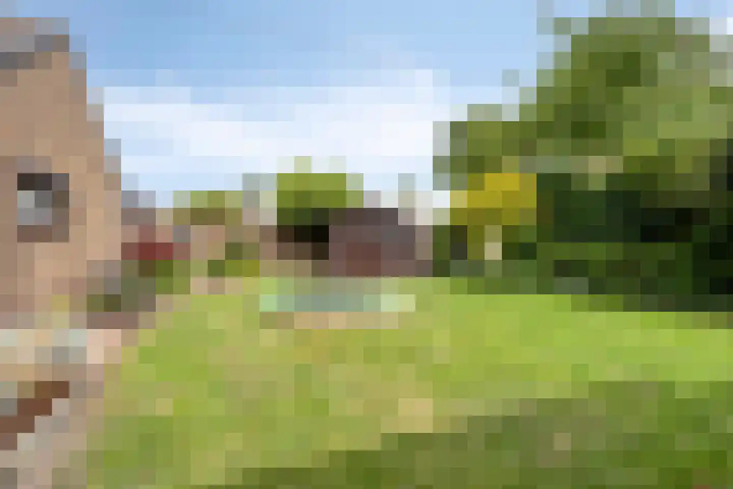 van der Heijdenstraat 20 Schaijk thumbnail 33