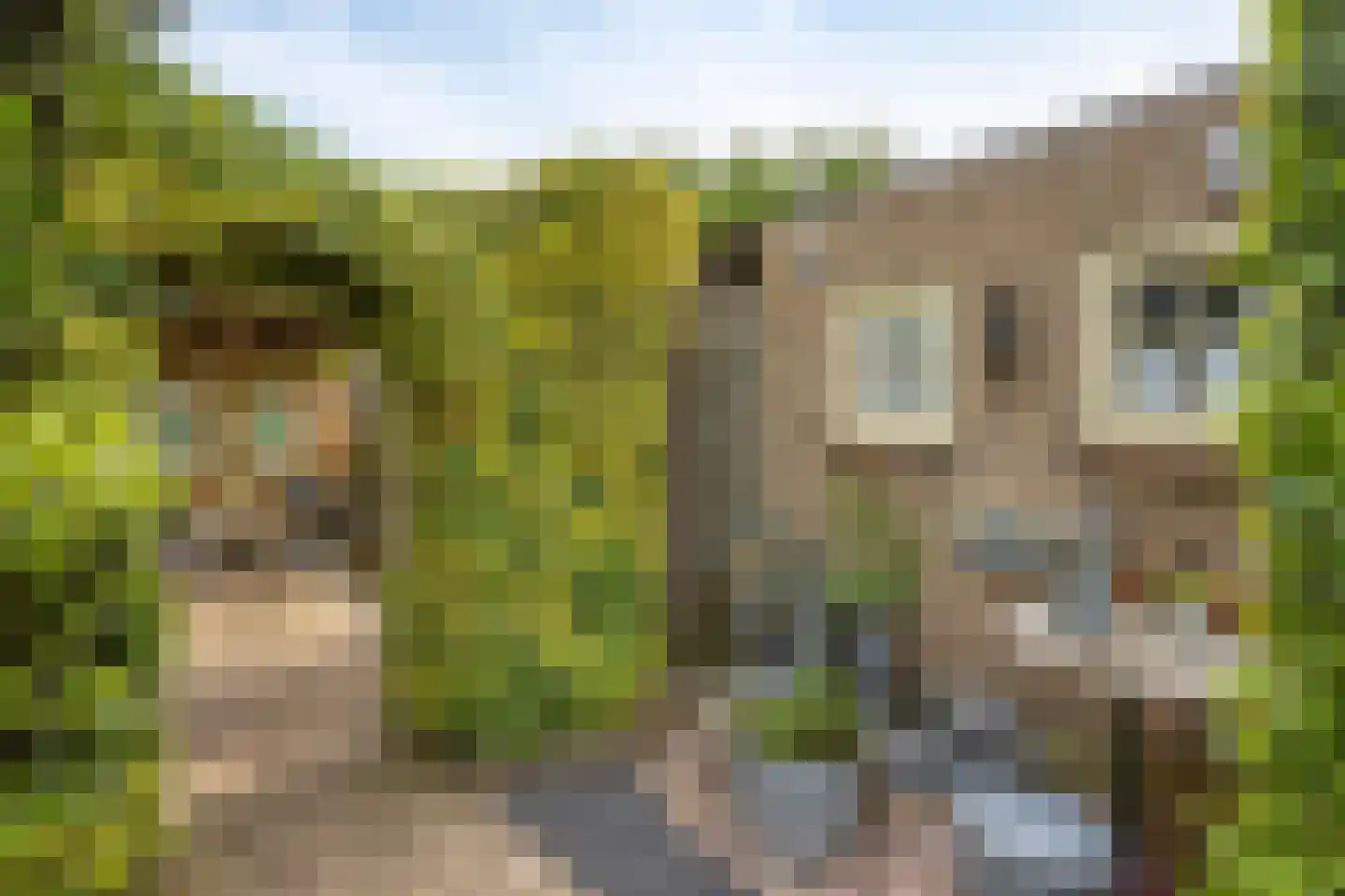 van der Heijdenstraat 20 Schaijk thumbnail 36