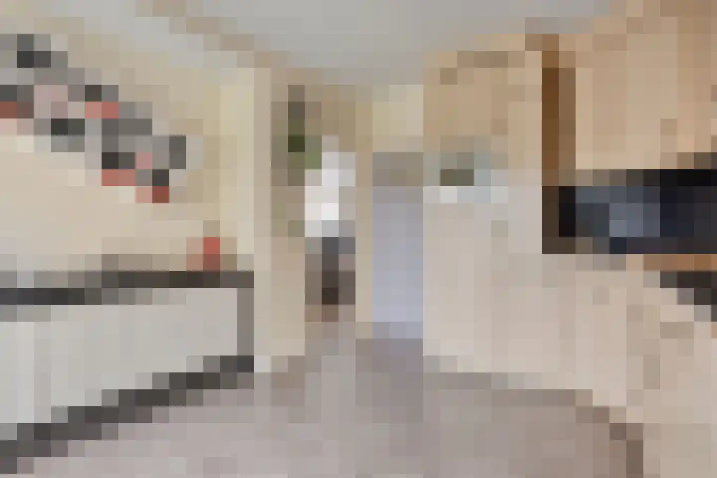 van der Heijdenstraat 20 Schaijk thumbnail 4