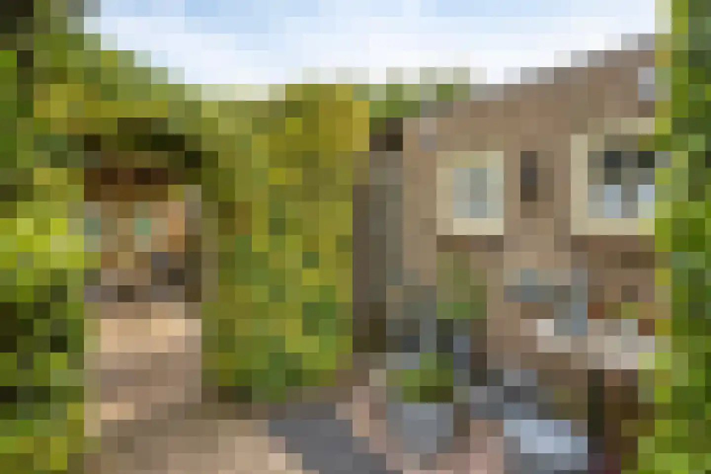 van der Heijdenstraat 20 Schaijk thumbnail 8