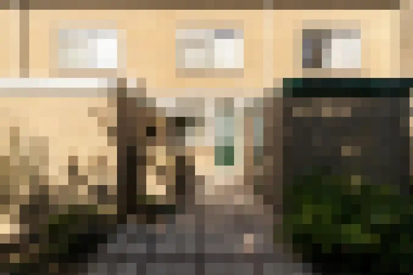 Van der Heijdenstraat 59 Schoonhoven thumbnail 13