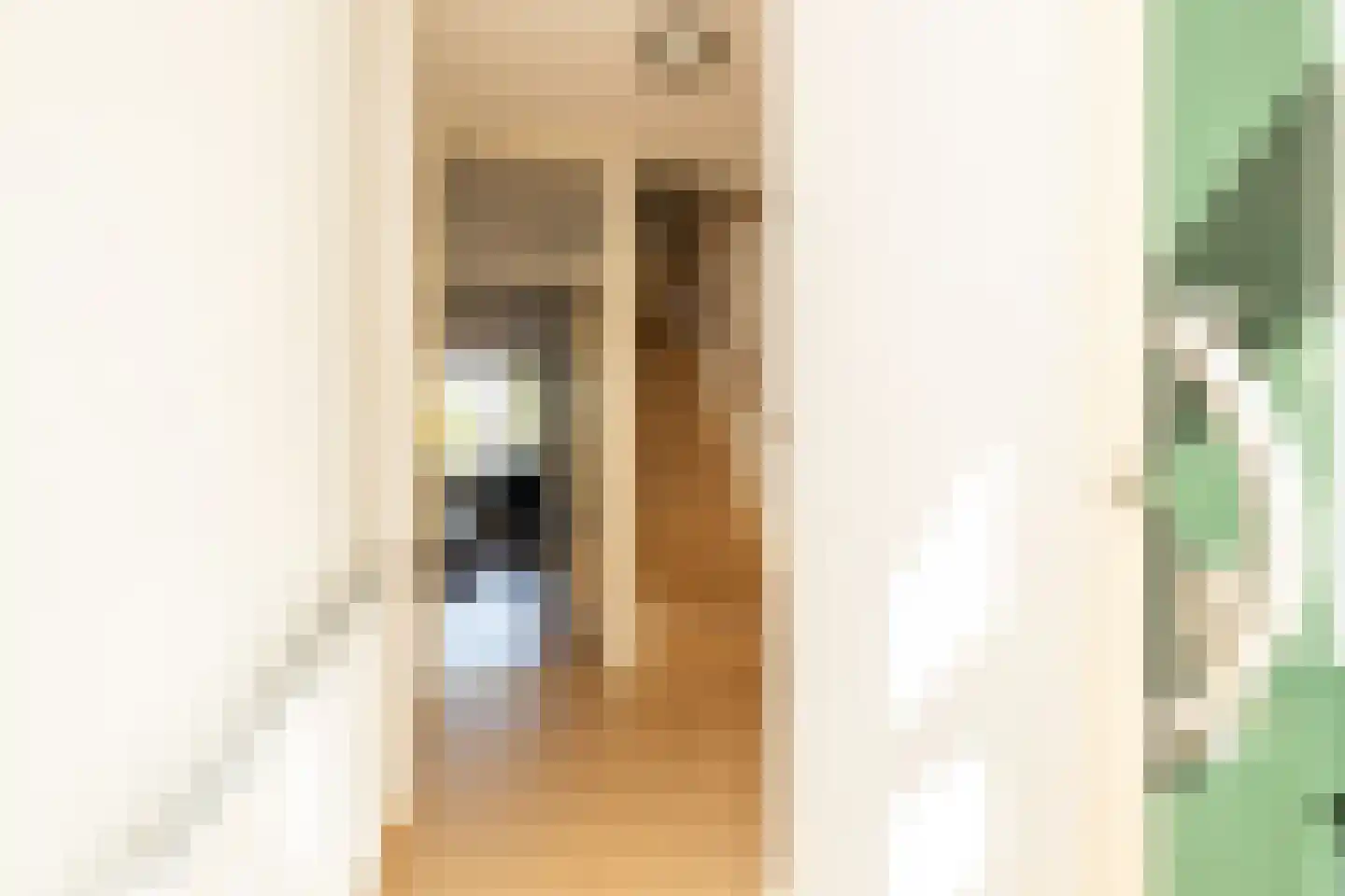 Van der Heijdenstraat 59 Schoonhoven thumbnail 14