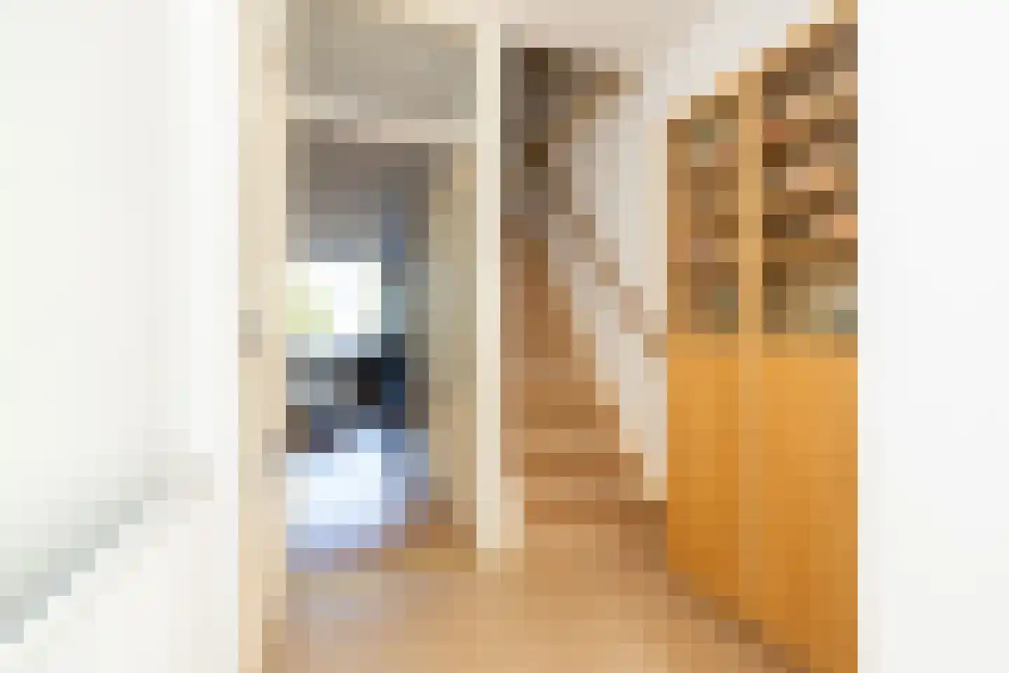 Van der Heijdenstraat 59 Schoonhoven thumbnail 16