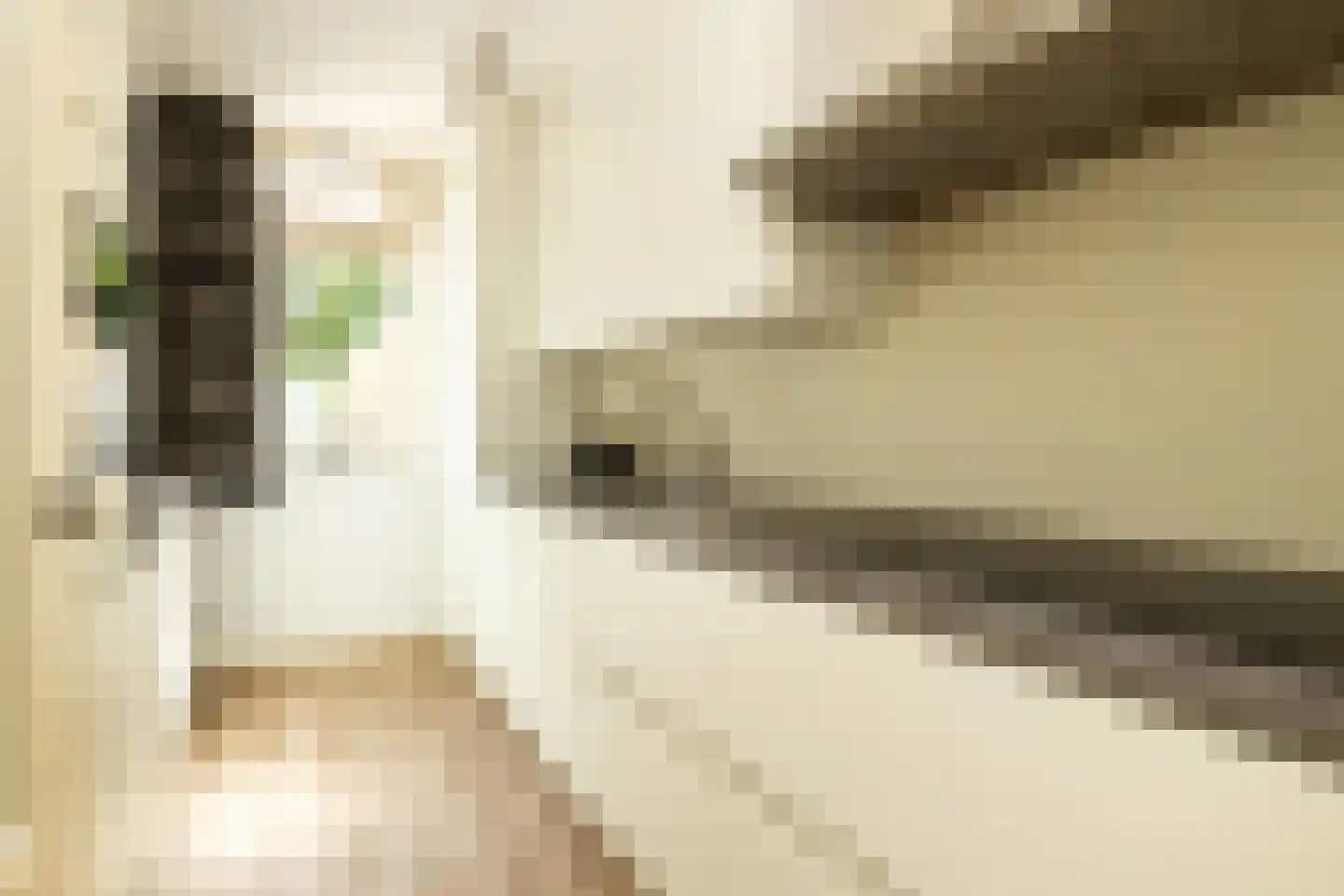 Van der Heijdenstraat 59 Schoonhoven thumbnail 20