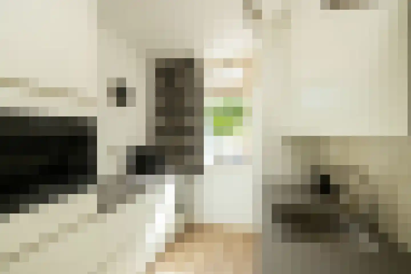 Van der Heijdenstraat 59 Schoonhoven thumbnail 21