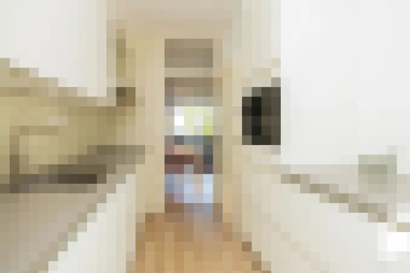 Van der Heijdenstraat 59 Schoonhoven thumbnail 22