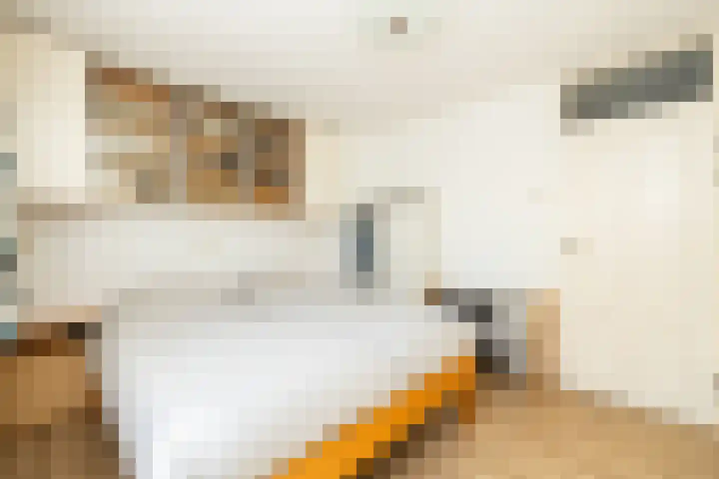 Van der Heijdenstraat 59 Schoonhoven thumbnail 26