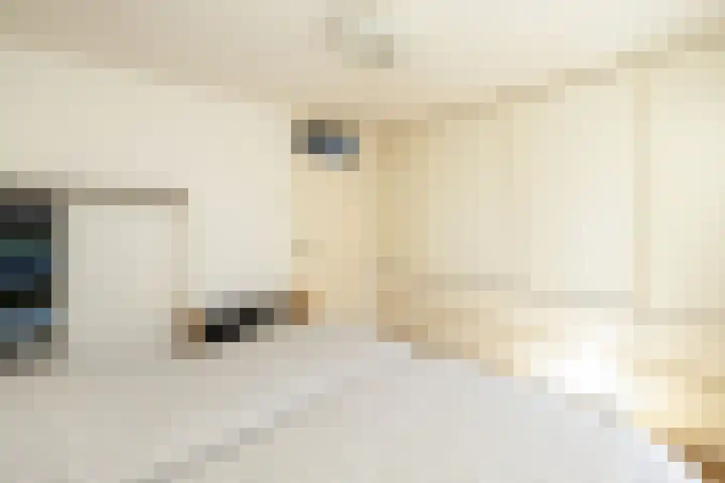 Van der Heijdenstraat 59 Schoonhoven thumbnail 27