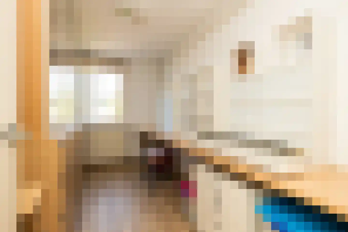 Van der Heijdenstraat 59 Schoonhoven thumbnail 30