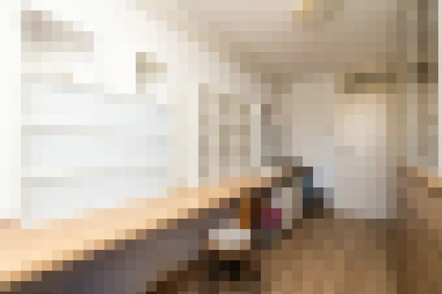 Van der Heijdenstraat 59 Schoonhoven thumbnail 31