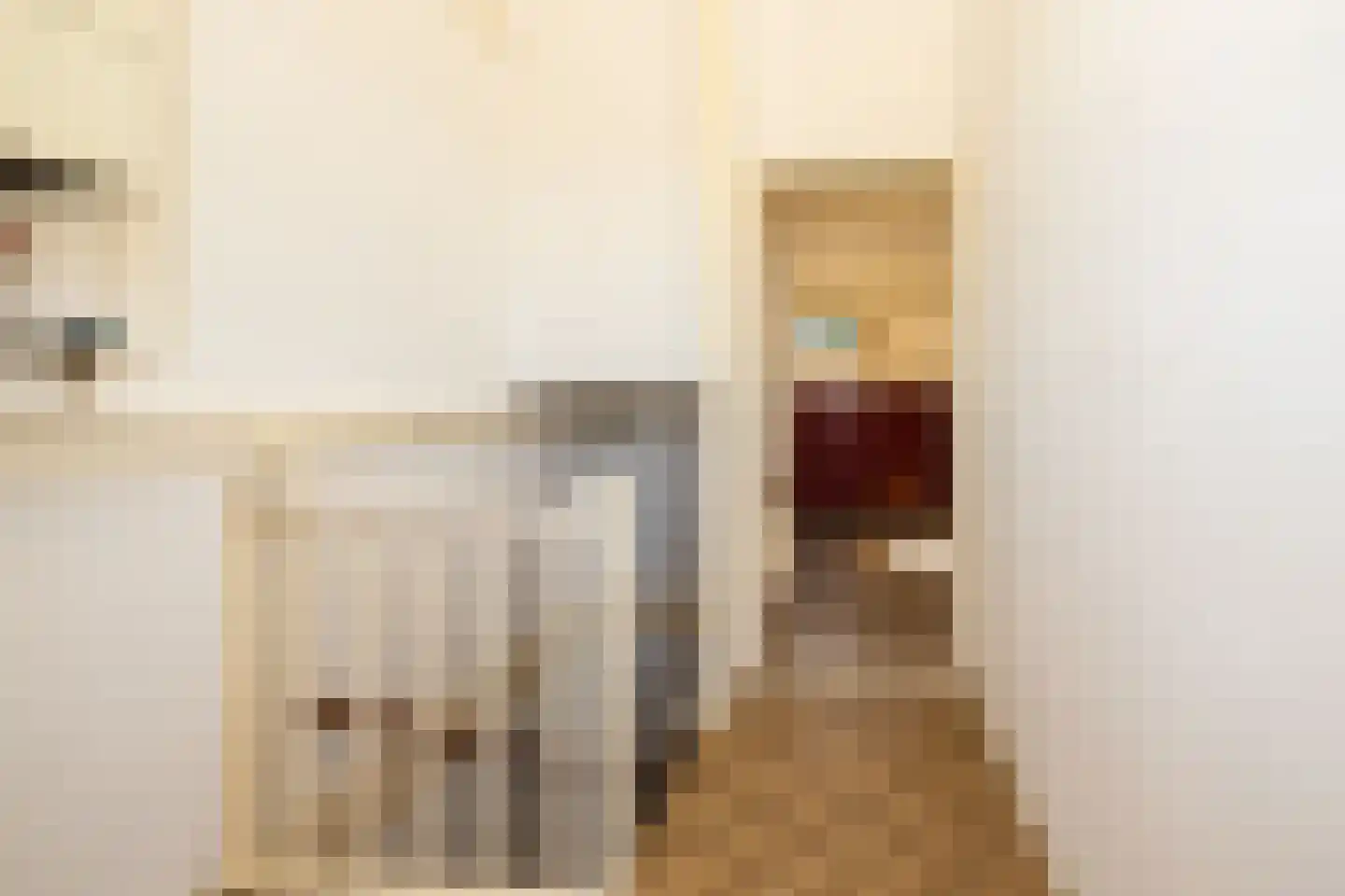 Van der Heijdenstraat 59 Schoonhoven thumbnail 37