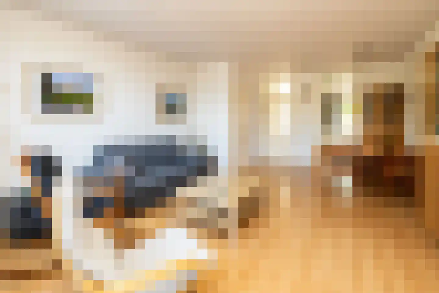 Van der Heijdenstraat 59 Schoonhoven thumbnail 4