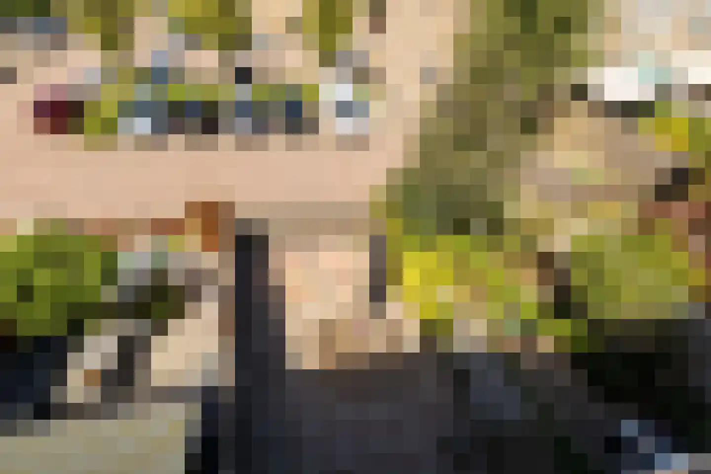 Van der Heijdenstraat 59 Schoonhoven thumbnail 48