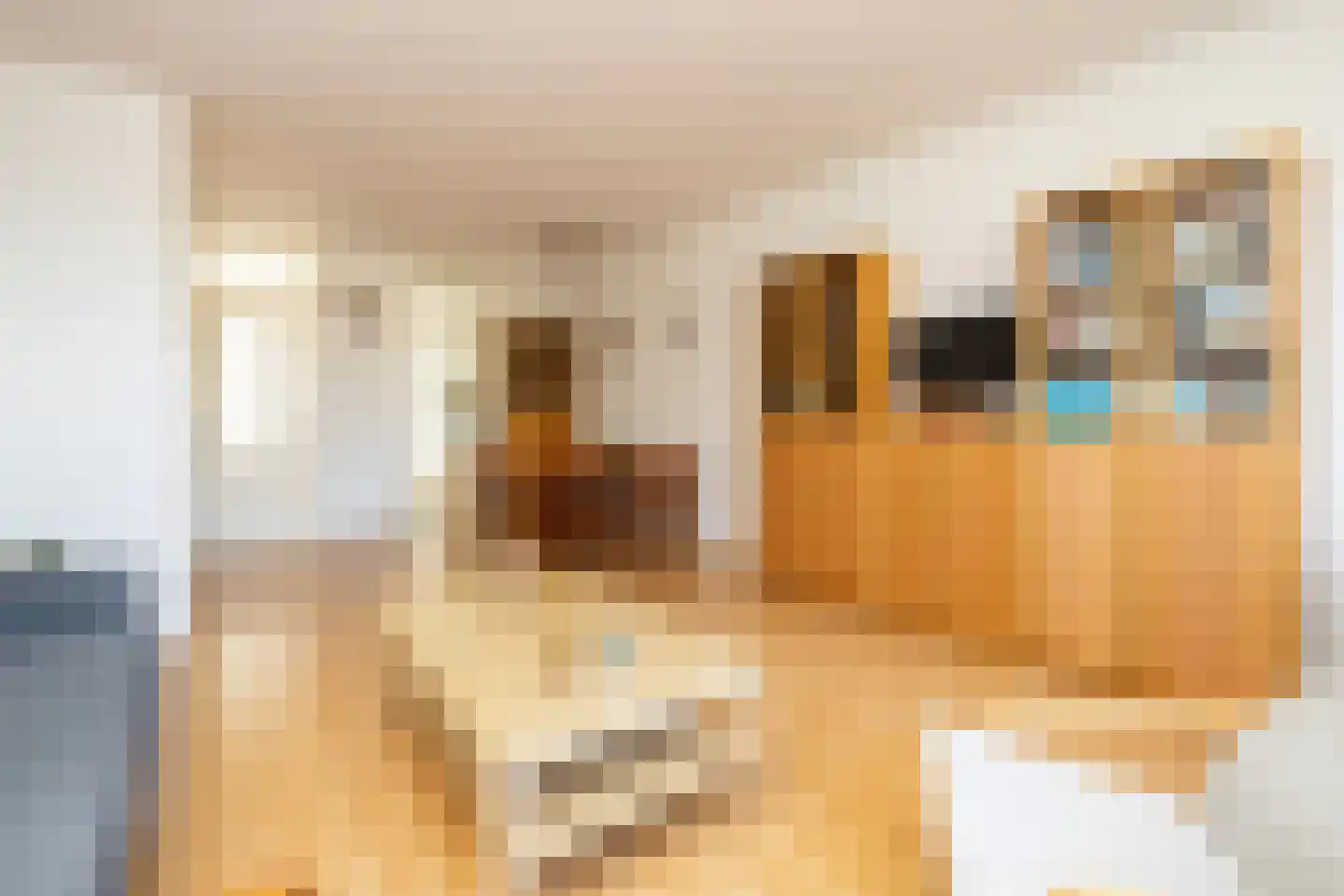 Van der Heijdenstraat 59 Schoonhoven thumbnail 5