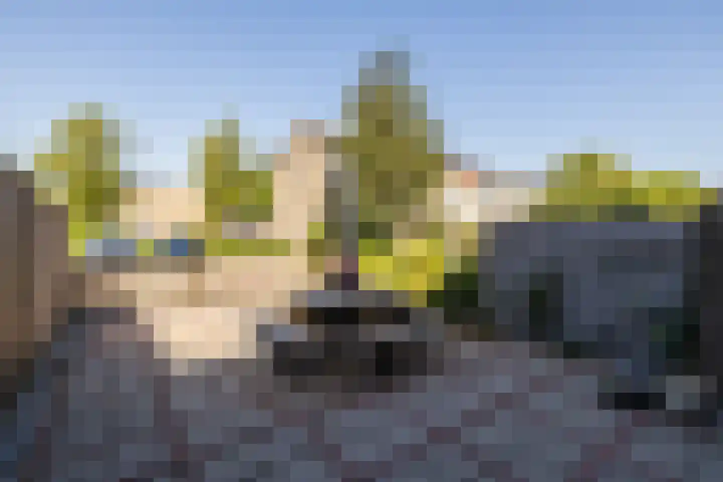 Van der Heijdenstraat 59 Schoonhoven thumbnail 50