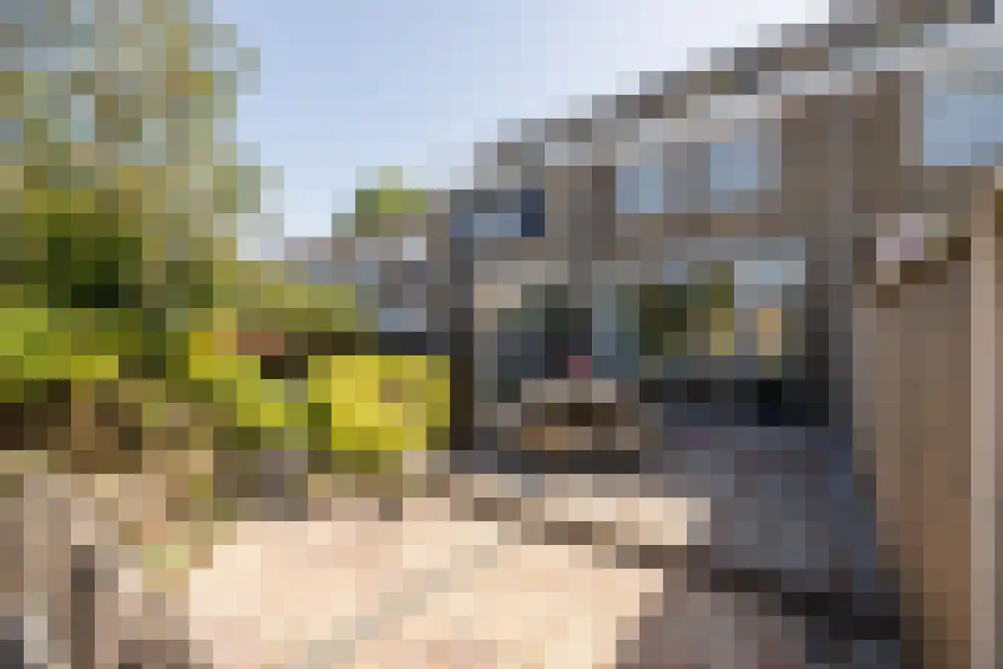 Van der Heijdenstraat 59 Schoonhoven thumbnail 52