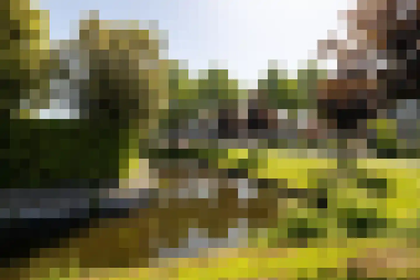 Van der Heijdenstraat 59 Schoonhoven thumbnail 6