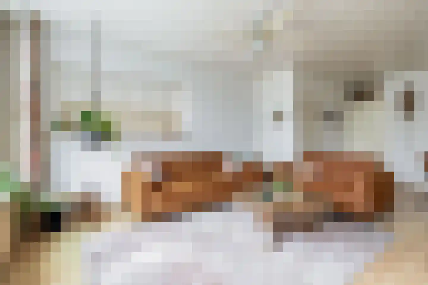 Van der Heijdenstraat 61 Schoonhoven thumbnail 10