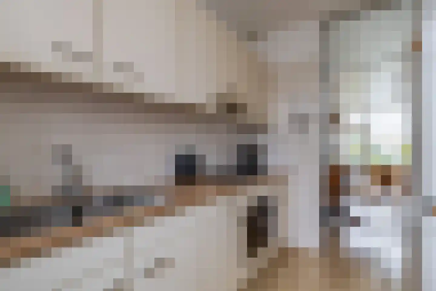 Van der Heijdenstraat 61 Schoonhoven thumbnail 15