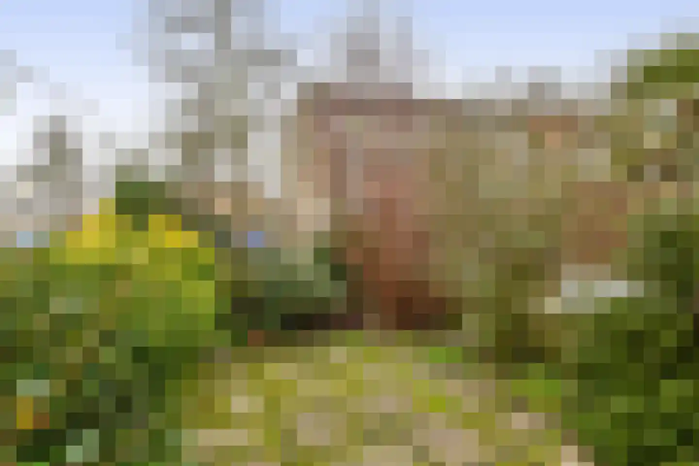 Van der Heijdenstraat 61 Schoonhoven thumbnail 17