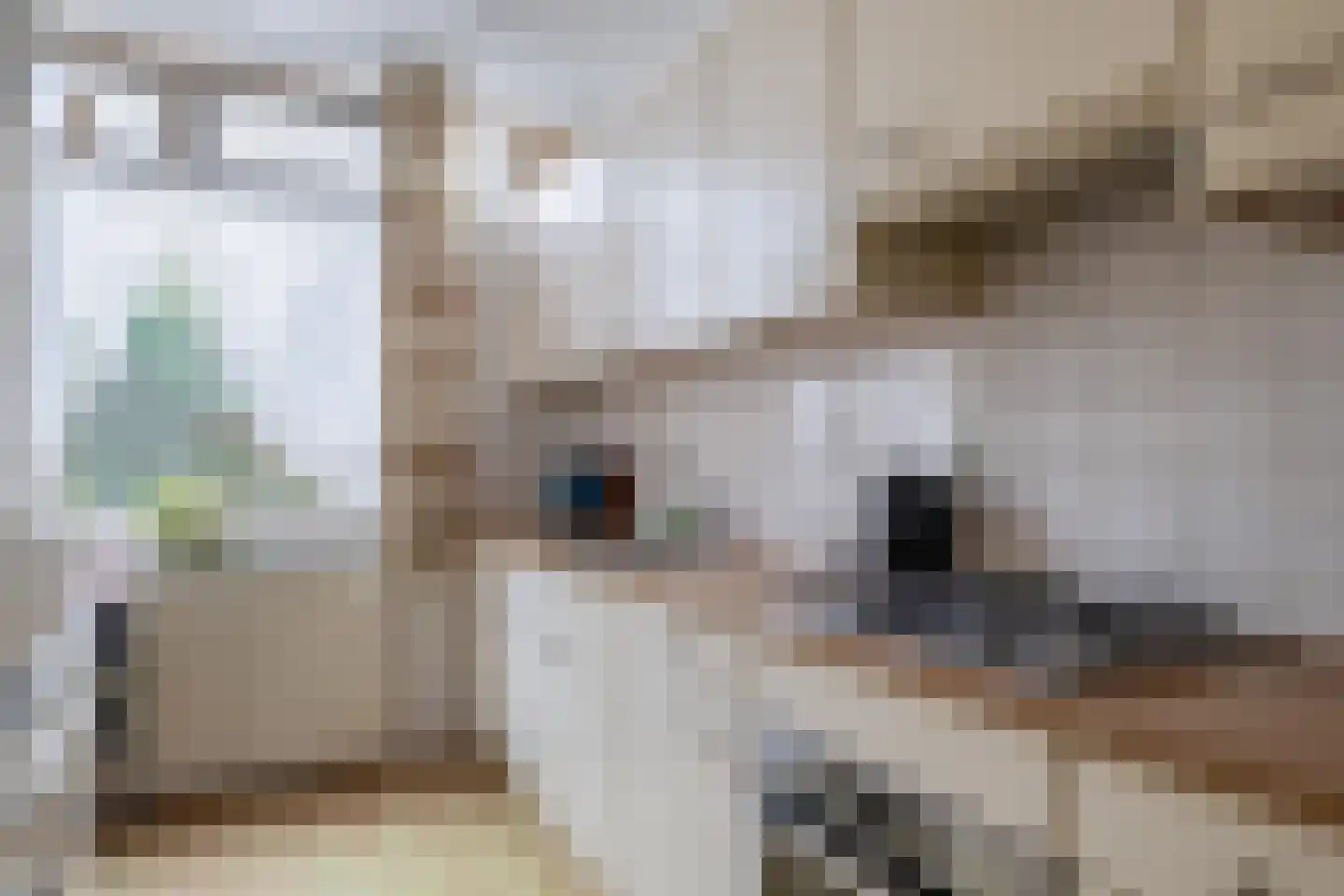 Van der Heijdenstraat 61 Schoonhoven thumbnail 4